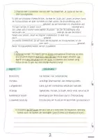 Vorschau - Präsentationen/Tafelbilder - Leistungsnachweise – Atmung (7. Klasse, Mittelschule Bayern – LehrplanPLUS); Prüfungsvorbereitung, Hefteinträge zum Thema - Seite 1