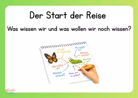 Vorschau - Unterrichtsreihen - Schmetterlinge Projekt: Wir züchten unsere Schmetterlinge. Grundschule Klasse 1-4 (Reihentransparenz, Ziele, Beschreibung) - Seite 2
