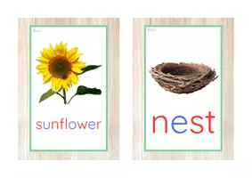 Vista previa - Tarjetas / Manipulativos - INGLÉS - Vocabulario letra minúscula imprenta (primavera) - página 1