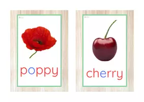 Vista previa - Tarjetas / Manipulativos - INGLÉS - Vocabulario letra minúscula imprenta (primavera) - página 2