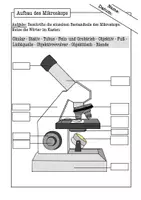 Vorschau - Arbeitsblätter - Mikroskopieren lernen Arbeitsblätter Klasse 5/6 (Führerschein) – Einführung Mikroskop (Biologie) - Seite 2
