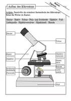 Vorschau - Arbeitsblätter - Mikroskopieren lernen Arbeitsblätter Klasse 5/6 (Führerschein) – Einführung Mikroskop (Biologie) - Seite 3