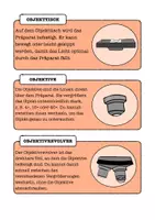 Vorschau - Arbeitsblätter - Mikroskop Aufbau Arbeitsblätter Klasse 5–7 – Bestandteile & Funktionen (Biologie, mit Lösungen) - Seite 3