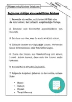 Vorschau - Arbeitsblätter - Mikroskopieren lernen Klasse 5–7 – Arbeitsblätter mit Anleitung & Versuchen (Biologie) - Seite 2