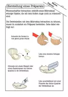 Vorschau - Arbeitsblätter - Mikroskopieren lernen Klasse 5–7 – Arbeitsblätter mit Anleitung & Versuchen (Biologie) - Seite 3