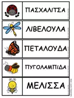 Προεπισκόπηση - Φύλλα εργασίας - Δραστηριότητες Γλώσσας και Μαθηματικών - Έντομα κι άλλα ζωύφια - Σελίδα 3