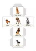 Vorschau - Stationenlernen - Hunde-Würfel – Hunderassen erkennen & benennen (differenziert) - Seite 1