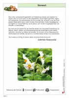 Vorschau - Arbeitsblätter - Lernwerkstatt Kartoffel | AES Biologie Sekundarstufe I Klasse 5–7 | Kartoffelpflanze, Anbau, Sorten, Stärke, Pommes, Kartoffelkäfer, Maniok, Rezepte, Freiarbeit, Lösungen - Seite 3