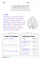 Vorschau - Arbeitsblätter - Lesetexte in Silbenschrift mit Fragen (2. & 3. Klasse) - Seite 3