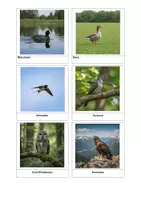 Vorschau - Mal- und Bastelvorlagen - Vogel Paket - Seite 2