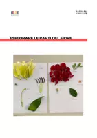 anteprima - Esperimenti - Esplorare le parti del fiore - Pagina di copertina