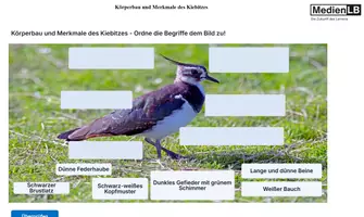 Vorschau - Arbeitsblätter - Der Kiebitz - 12 H5P/HTML/Interaktive Aufgaben/Moodle - Seite 2