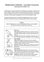 Vorschau - Arbeitsblätter - Waldbewohner entdecken – spielerisch lernen mit Ausmalbild & Steckbriefen! - Seite 2