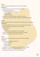 Vista previa - Hojas de trabajo - Resolució de problemes 3r i 4t de primària - página 3