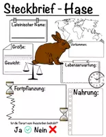 Vorschau - Arbeitsblätter - Steckbrief - Hase - Deckblatt