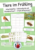 Vorschau - Stundenentwürfe - Unterrichtsreihe - Frühling (differenzierte Arbeitsblätter und Stundenentwürfe) - Seite 1