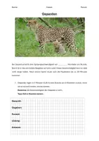 Vorschau - Unterrichtsreihen - Gruppenarbeit schnelle Tiere - Deckblatt