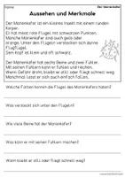 Vorschau - Arbeitsblätter - Der Marienkäfer - Sachtexte für Erstleser, Leseverständnis Klasse 1 & 2 - Seite 1