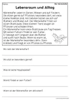 Vorschau - Arbeitsblätter - Der Marienkäfer - Sachtexte für Erstleser, Leseverständnis Klasse 1 & 2 - Seite 2