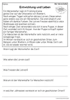 Vorschau - Arbeitsblätter - Der Marienkäfer - Sachtexte für Erstleser, Leseverständnis Klasse 1 & 2 - Seite 3