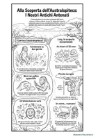 anteprima - Schede informative - Infografiche ominidi - Australopiteco - Pagina 2