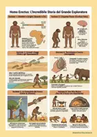anteprima - Schede informative - Infografiche ominidi - Homo erectus - Pagina 1