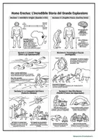 anteprima - Schede informative - Infografiche ominidi - Homo erectus - Pagina 2