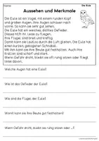 Vorschau - Arbeitsblätter - Die Eule - Sachtexte für Erstleser, Leseverständnis Klasse 1 & 2 - Seite 1