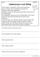 Vorschau - Arbeitsblätter - Die Eule - Sachtexte für Erstleser, Leseverständnis Klasse 1 & 2 - Seite 2