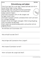 Vorschau - Arbeitsblätter - Die Eule - Sachtexte für Erstleser, Leseverständnis Klasse 1 & 2 - Seite 3