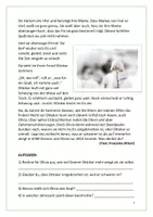 Vorschau - Arbeitsblätter - Winter-Geschichte: Abenteuer im Schnee mit Otter Olivia (zum Vorlesen und selbst lesen, Knobelgeschichte, Klasse 2-3) Jg. - Seite 3