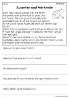 Vorschau - Arbeitsblätter - Der Frosch - Sachtexte für Erstleser, Leseverständnis Klasse 1 & 2 - Seite 1