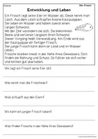 Vorschau - Arbeitsblätter - Der Frosch - Sachtexte für Erstleser, Leseverständnis Klasse 1 & 2 - Seite 3