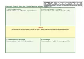 Vorschau - Unterrichtsreihen - Placemat Fettstoffwechel-Parcour - Kontext Hammermann bei 32km - Seite 2