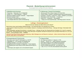 Vorschau - Unterrichtsreihen - Placemat Fettstoffwechel-Parcour - Kontext Hammermann bei 32km - Seite 3