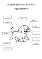 anteprima - Esercizi - Le parti del corpo del cane: scheda - Pagina 1