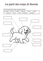 anteprima - Esercizi - Le parti del corpo del cane: scheda - Pagina di copertina