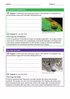 Vorschau - Stationenlernen - Infokarten: Das tierische Auge - Seite 2