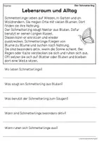 Vorschau - Arbeitsblätter - Der Schmetterling - Sachtexte für Erstleser | Leseverständnis Klasse 1 & 2 - Seite 2
