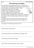 Vorschau - Arbeitsblätter - Der Schmetterling - Sachtexte für Erstleser | Leseverständnis Klasse 1 & 2 - Seite 3