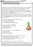 Vorschau - Arbeitsblätter - Lesetexte Frühling - mit Fragen / Lesehappen / Textverständnis - Seite 2