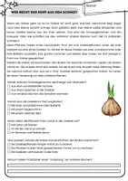 Vorschau - Arbeitsblätter - Lesetexte Frühling - mit Fragen / Lesehappen / Textverständnis - Seite 3