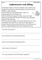 Vorschau - Arbeitsblätter - Die Schnecke - Sachtexte für Erstleser, Leseverständnis Klasse 1 & 2 - Seite 2