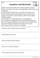 Vorschau - Arbeitsblätter - Die Biene - Sachtexte für Erstleser | Leseverständnis Klasse 1 & 2 - Seite 1