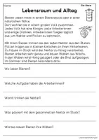 Vorschau - Arbeitsblätter - Die Biene - Sachtexte für Erstleser | Leseverständnis Klasse 1 & 2 - Seite 2