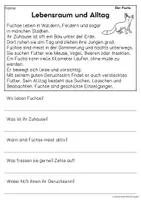 Vorschau - Arbeitsblätter - Der Fuchs - Sachtexte für Erstleser | Leseverständnis Klasse 1 & 2 - Seite 2
