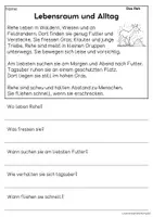 Vorschau - Arbeitsblätter - Das Reh - Sachtexte für Erstleser | Leseverständnis Klasse 1 & 2 - Seite 2