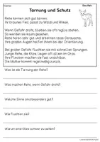 Vorschau - Arbeitsblätter - Das Reh - Sachtexte für Erstleser | Leseverständnis Klasse 1 & 2 - Seite 3