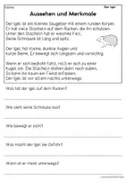 Vorschau - Arbeitsblätter - Der Igel - Sachtexte für Erstleser | Leseverständnis Klasse 1 + 2 - Seite 1
