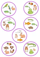 Vorschau - Spiele - Doppelgänger pets/Haustiere - Deckblatt